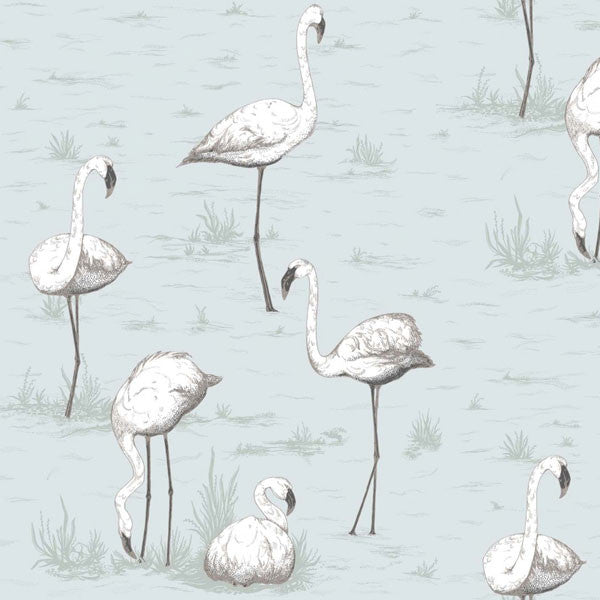 Cole & Son - Contemporary Restyled - Flamingos - Vertigo Home