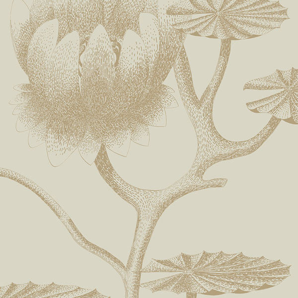 Cole & Son - Contemporary Restyled - Lily - Vertigo Home