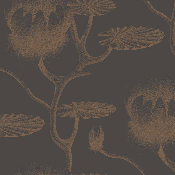 Cole & Son - Contemporary Restyled - Lily - Vertigo Home