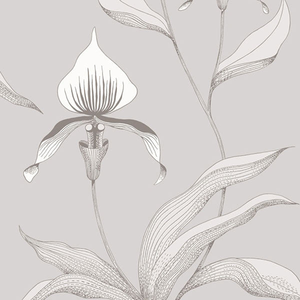 Cole & Son - Contemporary Restyled - Orchid - Vertigo Home