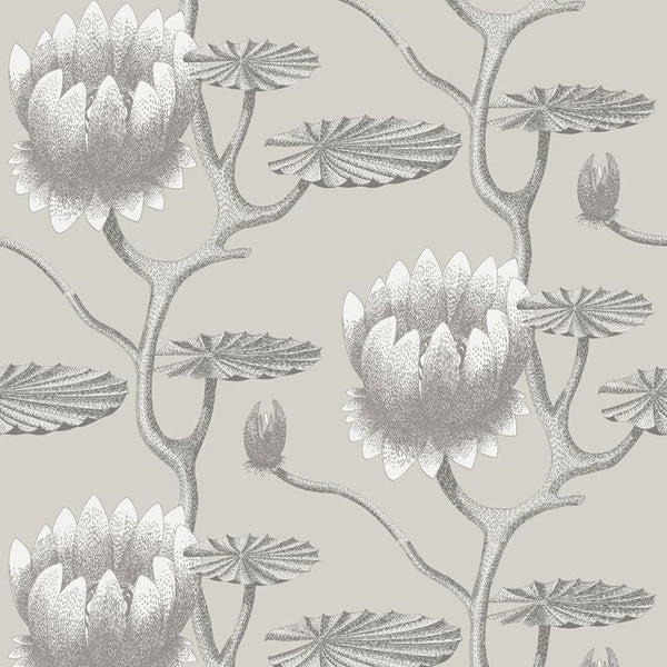 Cole & Son - Contemporary Restyled - Summer Lily - Vertigo Home
