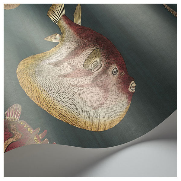 Fornasetti Acquario - Viridian Wallpaper by Cole & Son