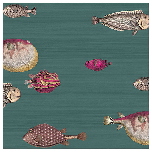 Fornasetti Acquario - Viridian Wallpaper by Cole & Son