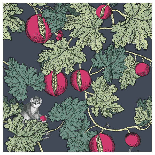 Fornasetti Frutto Proibito - Deep Ink / Magenta Wallpaper by Cole & Son