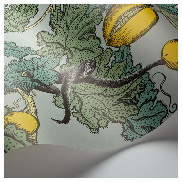 Fornasetti Frutto Proibito - Seafoam / Lemon Wallpaper by Cole & Son