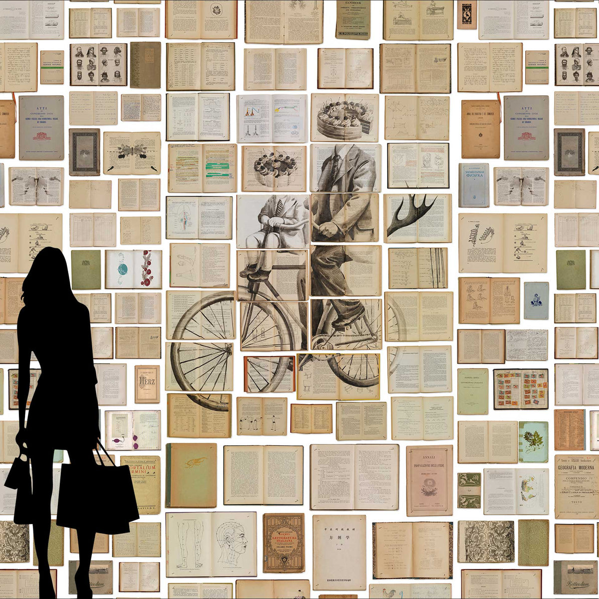 Biblioteca EKA-03 Wallpaper Mural by Ekaterina Panikanova + NLXL