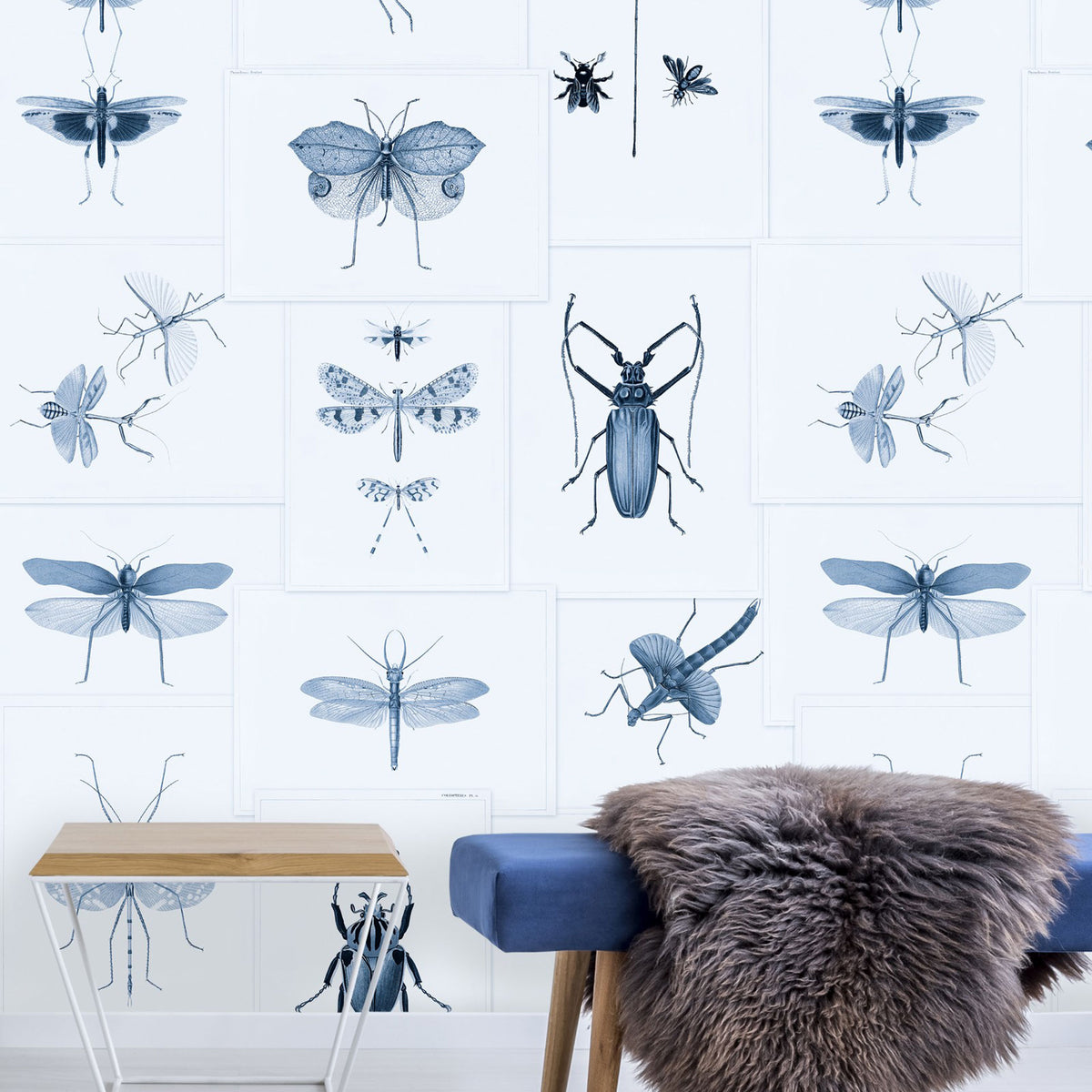 Entomology Wallpaper by MINDTHEGAP