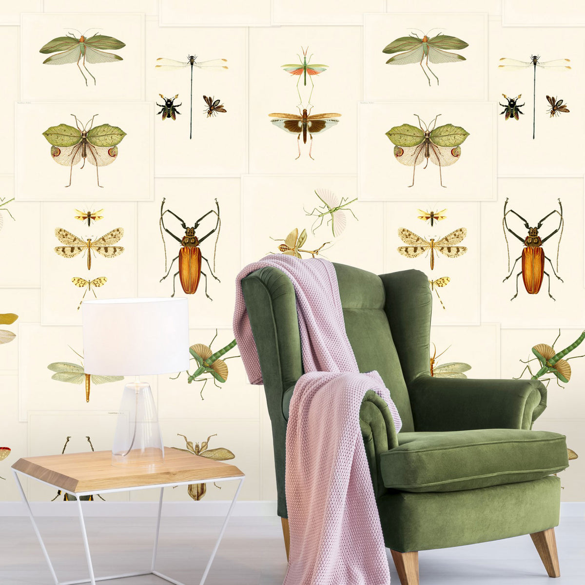 Entomology Wallpaper by MINDTHEGAP