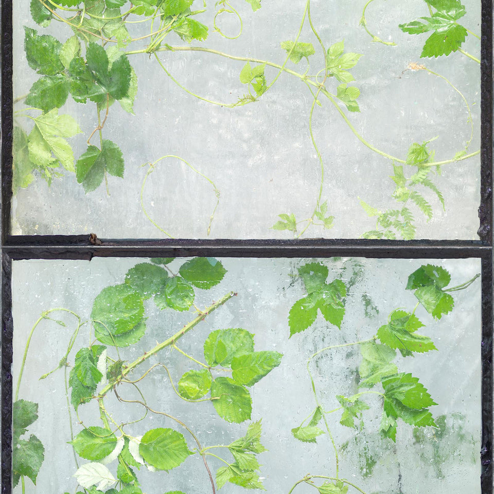 Greenhouse ERG-01 Wallpaper by Erik Gutter + NLXL