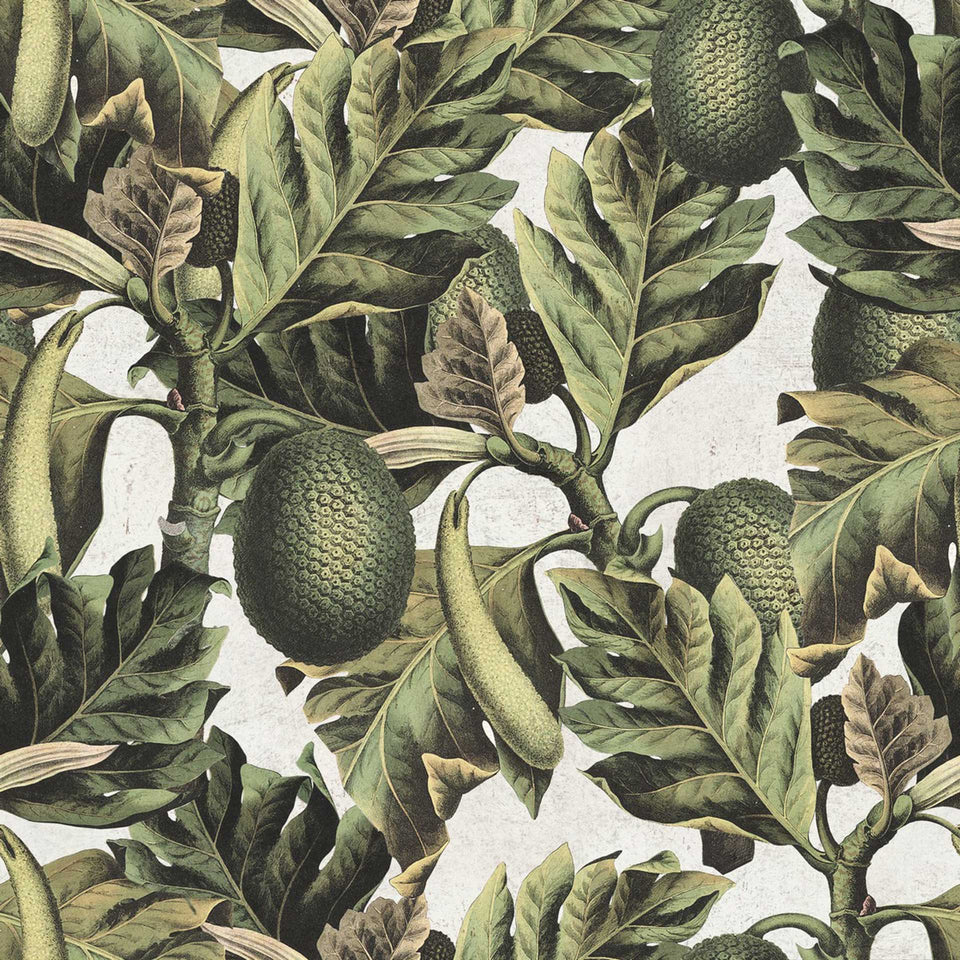 Exotic Fruit I Wallpaper by MINDTHEGAP