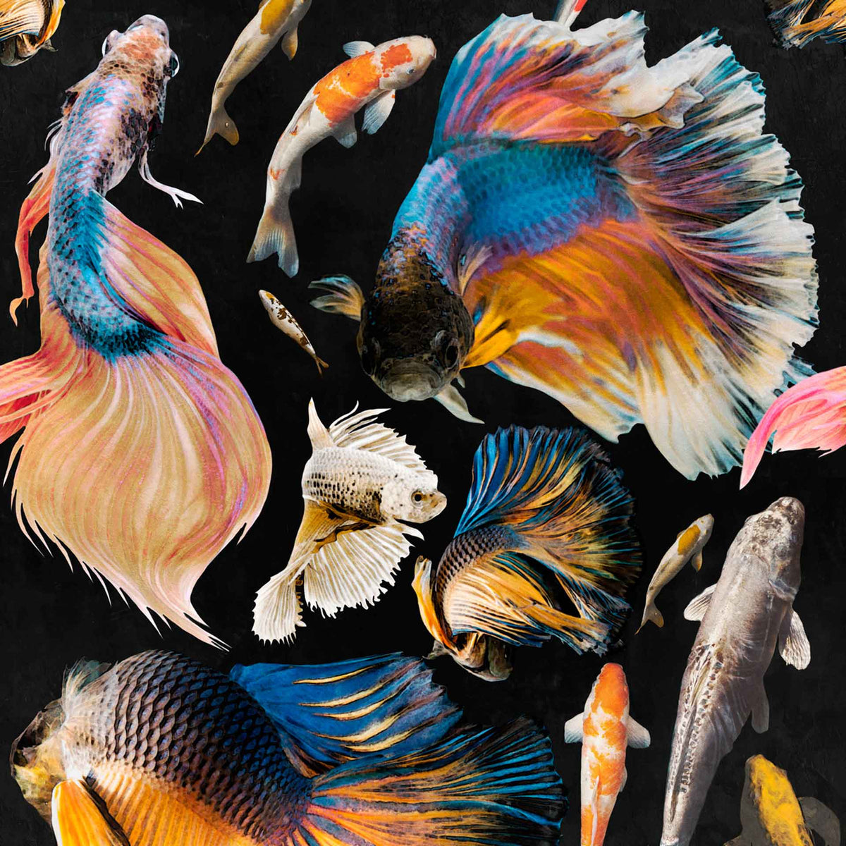 Goldfish Wallpaper by MINDTHEGAP