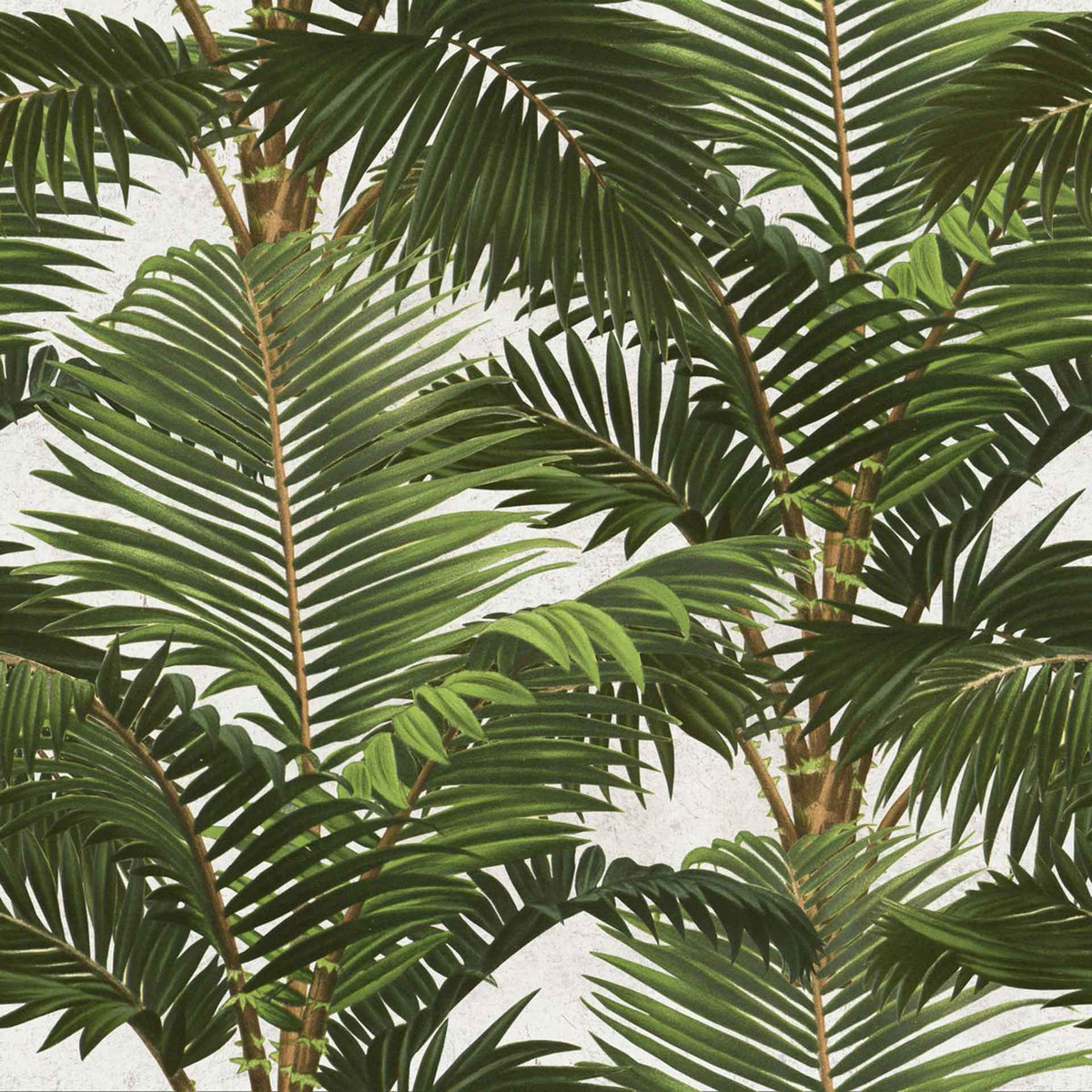 Jardin Tropical Wallpaper by MINDTHEGAP