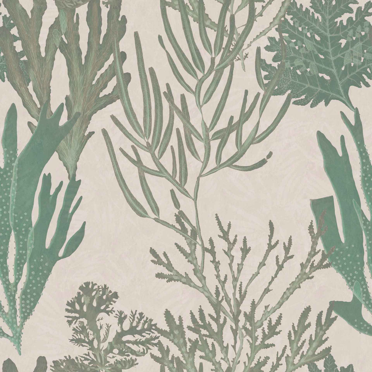 Light Corals Wallpaper by MINDTHEGAP