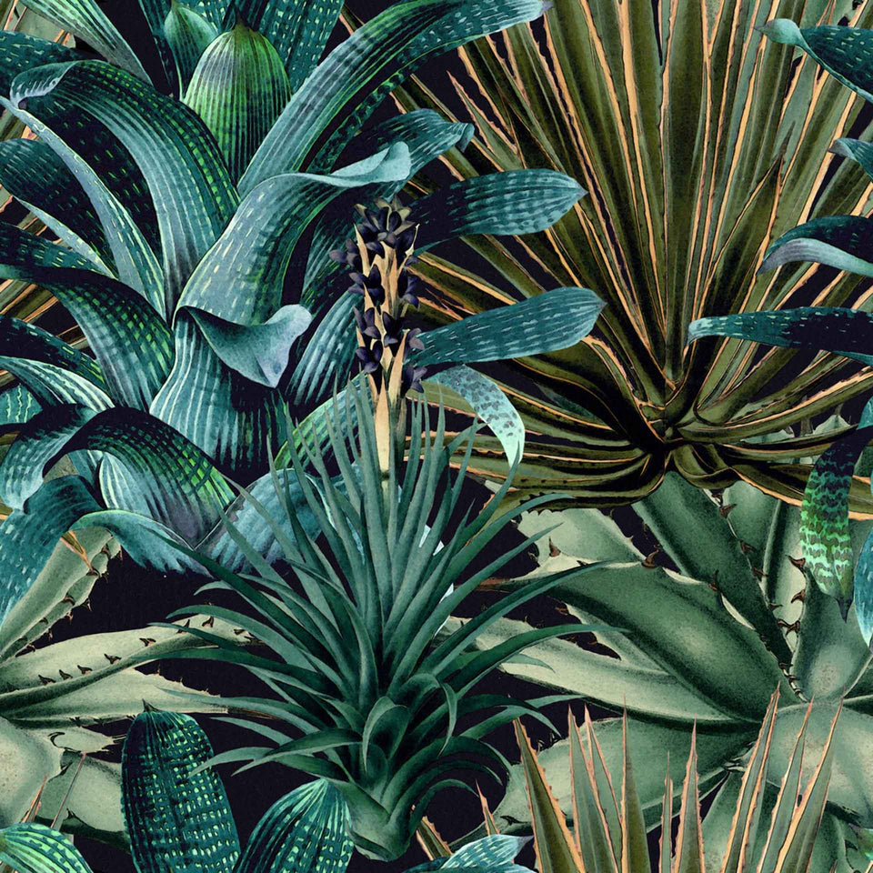 lush succulent Lush Succulents Wallpaper by MINDTHEGAP – Vertigo Home