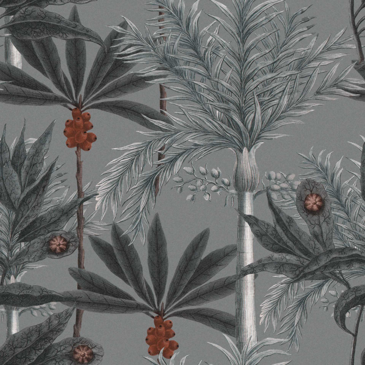 Madagascar Wallpaper by MINDTHEGAP
