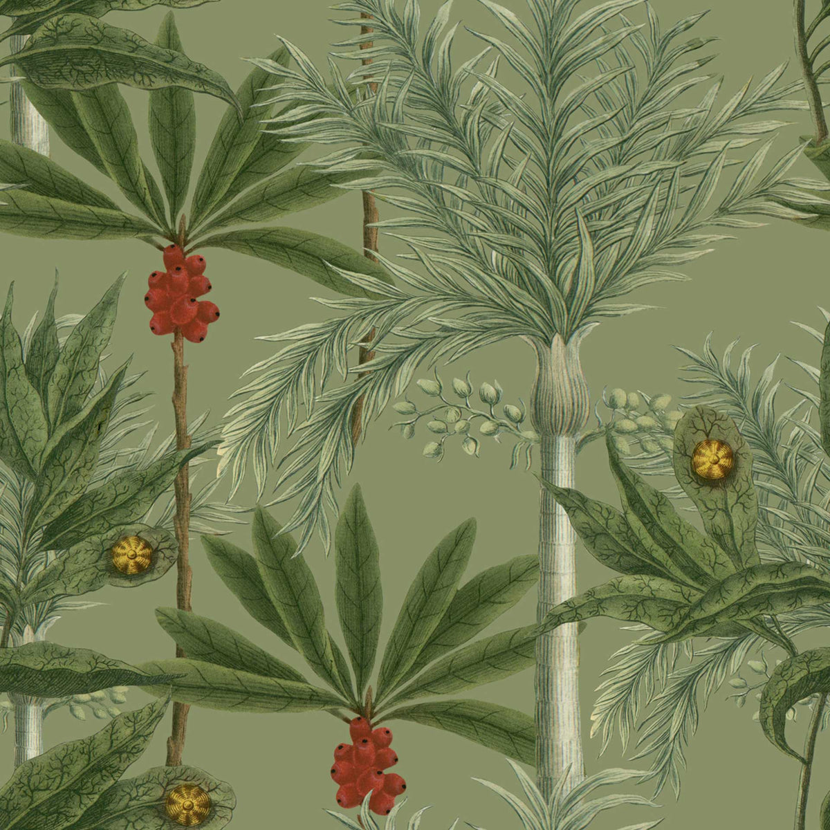 Madagascar Wallpaper by MINDTHEGAP