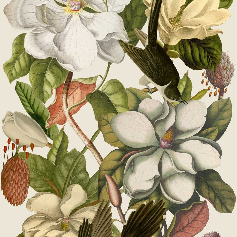 Magnolia Wallpaper by MINDTHEGAP