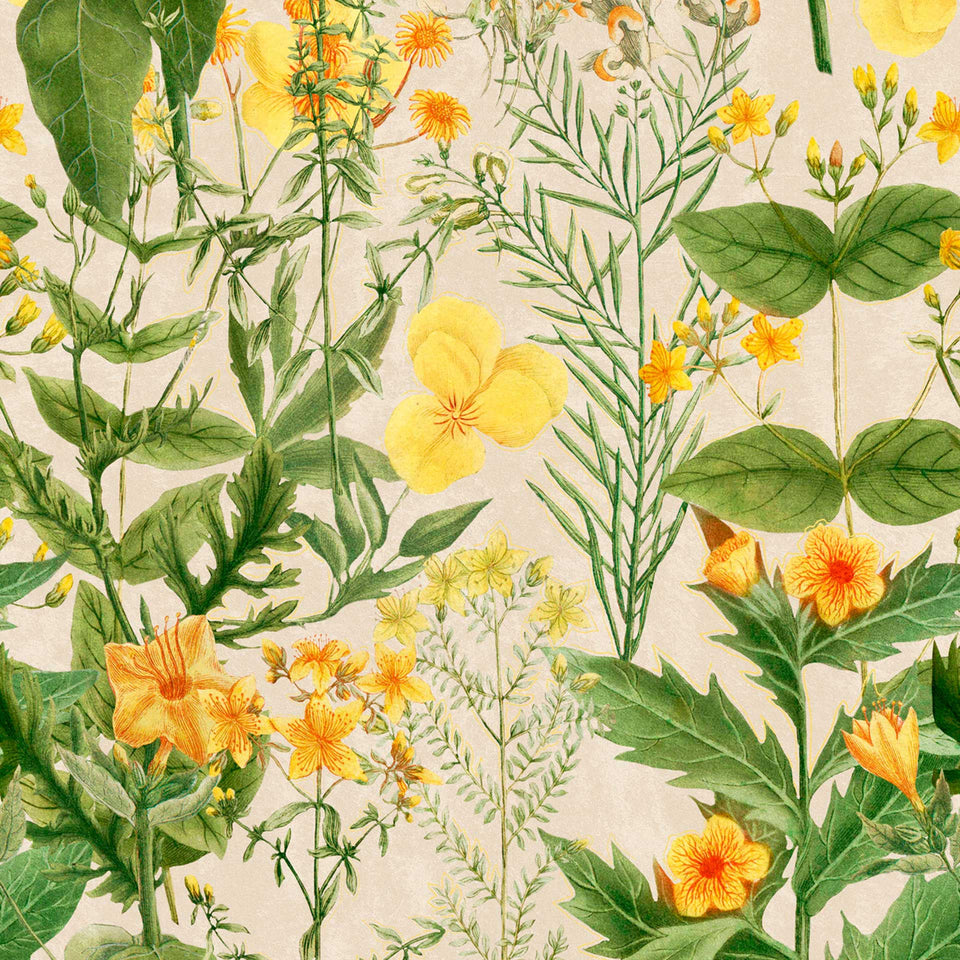 Mimulus Wallpaper by MINDTHEGAP