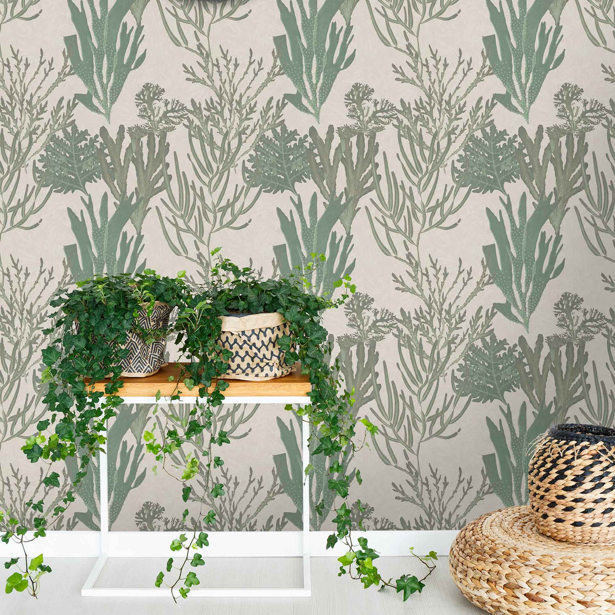 Light Corals Wallpaper by MINDTHEGAP