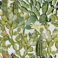 Opuntia Wallpaper by MINDTHEGAP