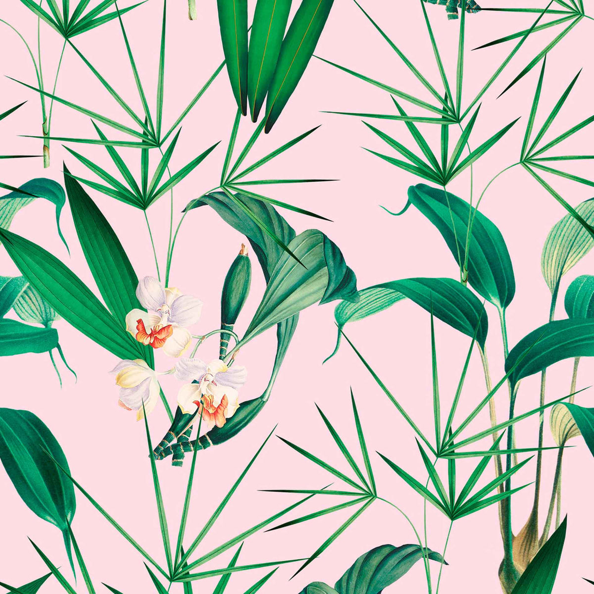 Palm Springs Wallpaper by MINDTHEGAP