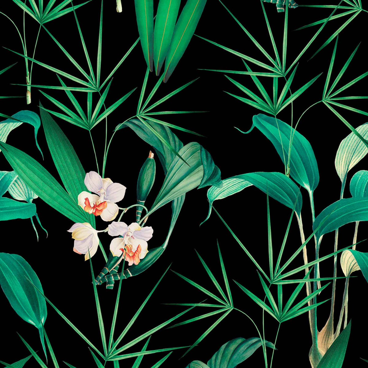 Palm Springs Wallpaper by MINDTHEGAP