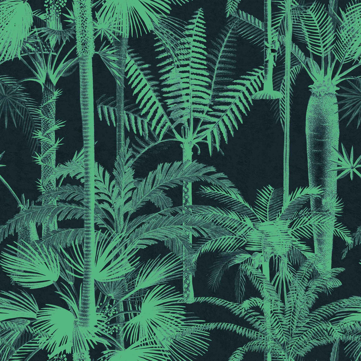 Palmera Cubana Wallpaper by MIND THE GAP