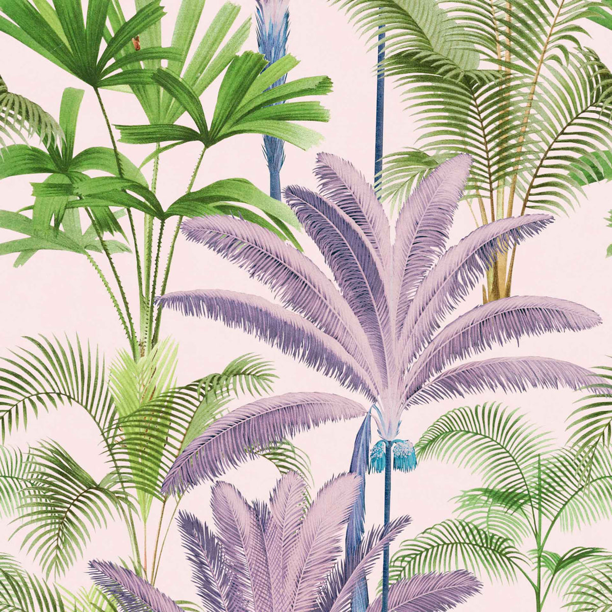 Palmeras Wallpaper by MINDTHEGAP