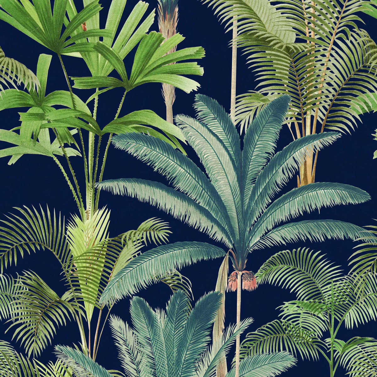 Palmeras Wallpaper by MINDTHEGAP