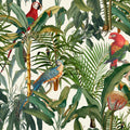 Parrots of Brasil Wallpaper by MINDTHEGAP