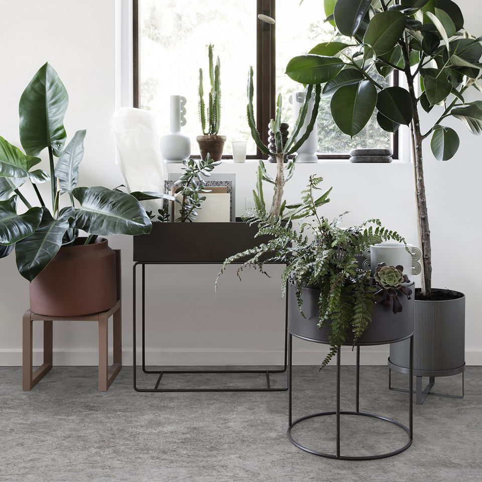 Plant Box - Black by Ferm Living