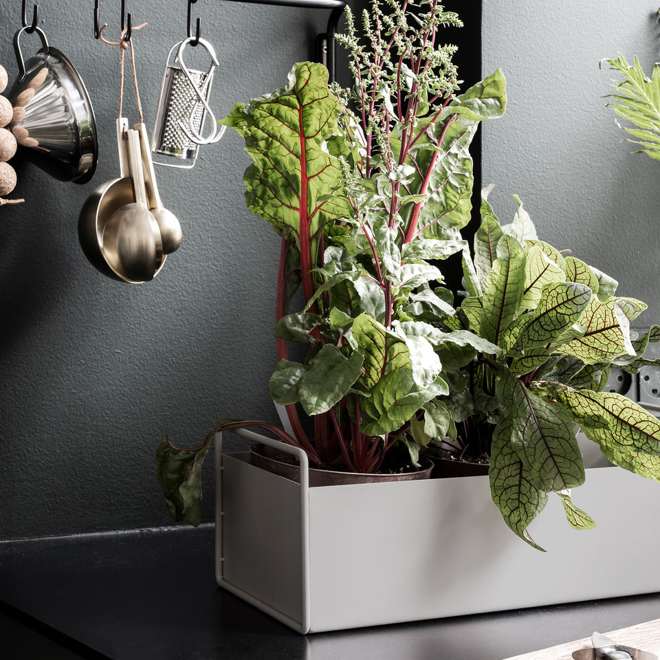 Plant Box Small - Cashmere by Ferm Living