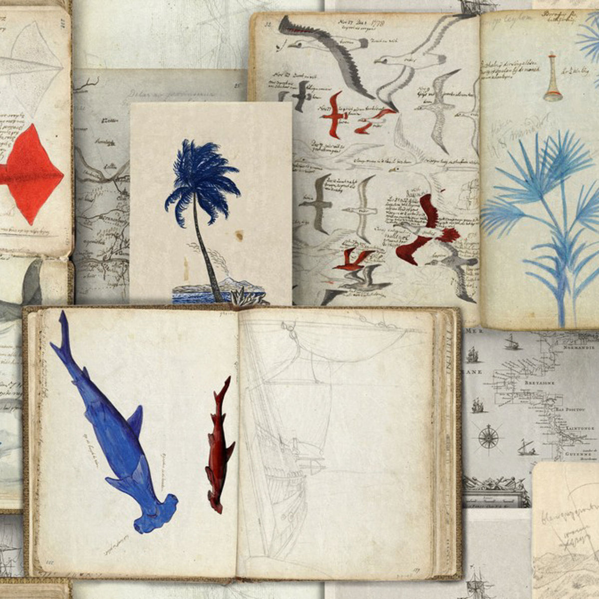 Seaman's Journal Wallpaper by MIND THE GAP