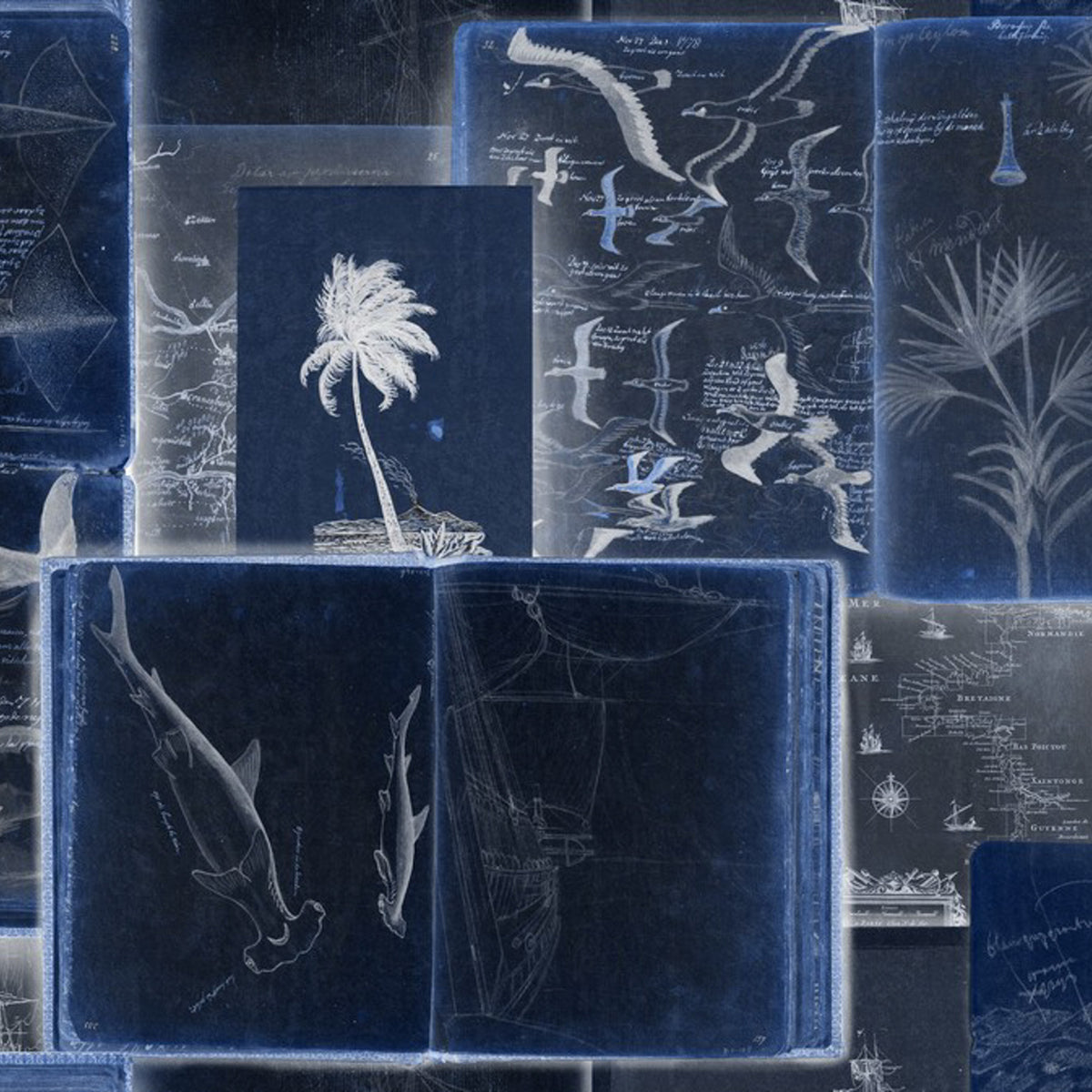 Seaman's Journal Wallpaper by MIND THE GAP