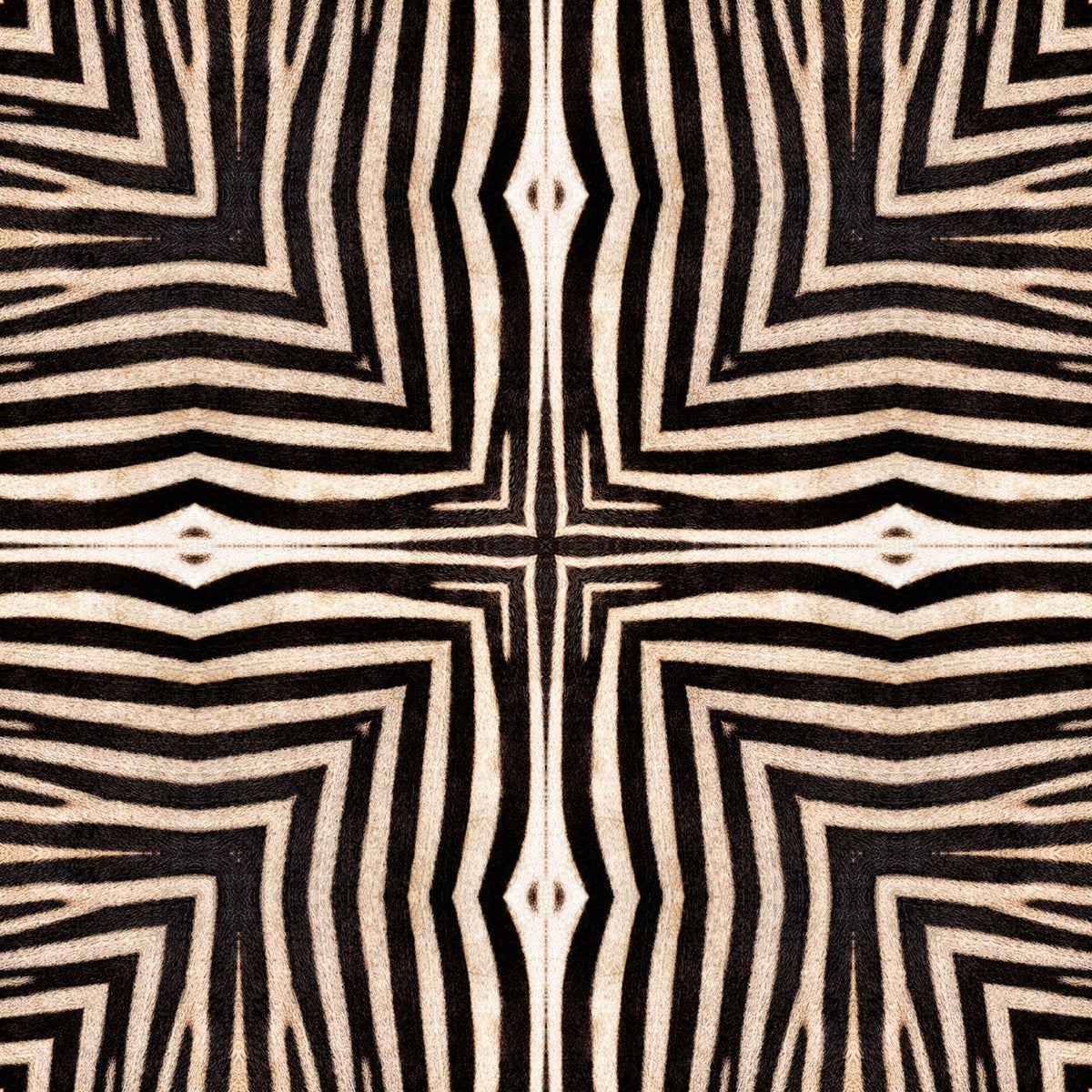 Serengeti Wallpaper by MINDTHEGAP