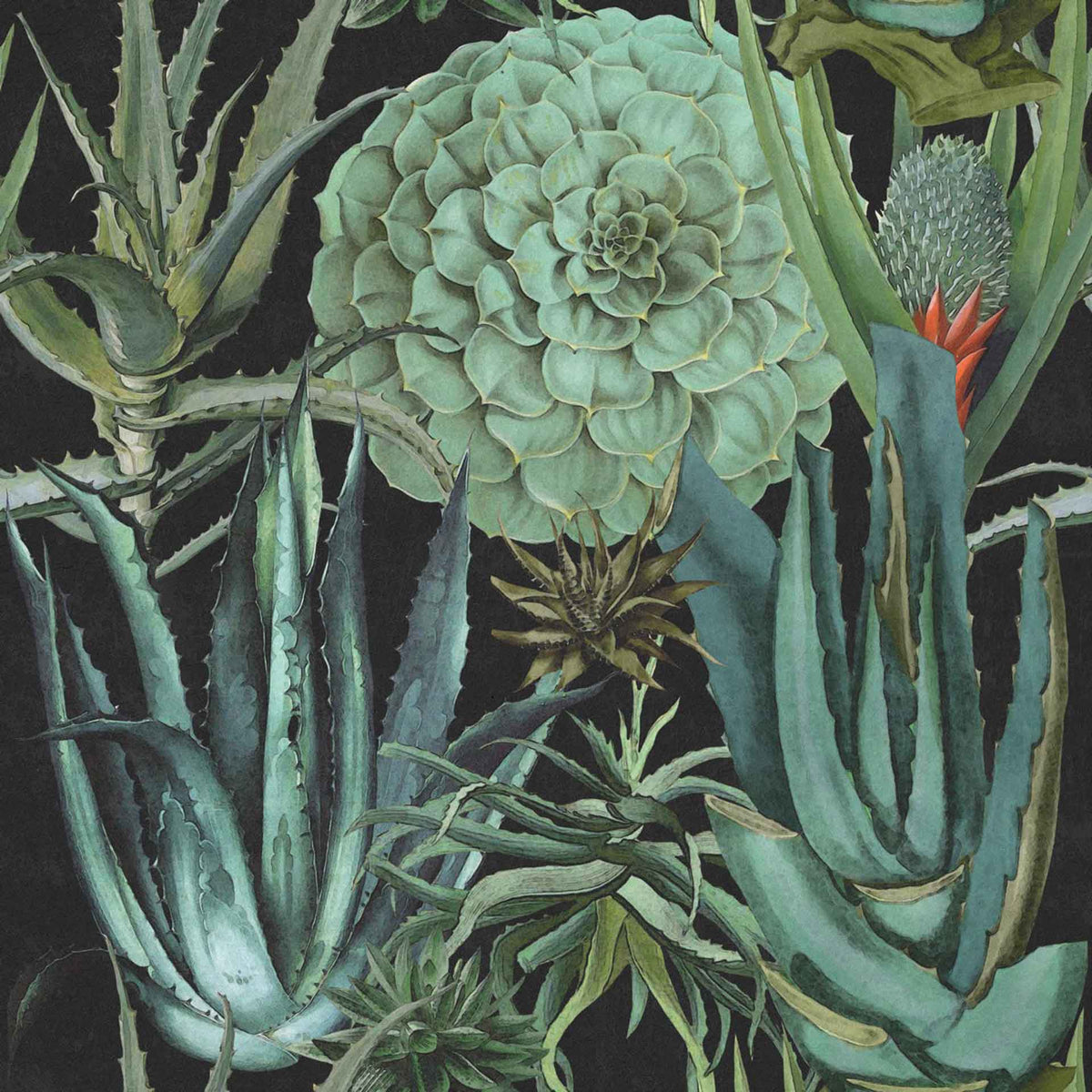 Succulentus Wallpaper by MINDTHEGAP