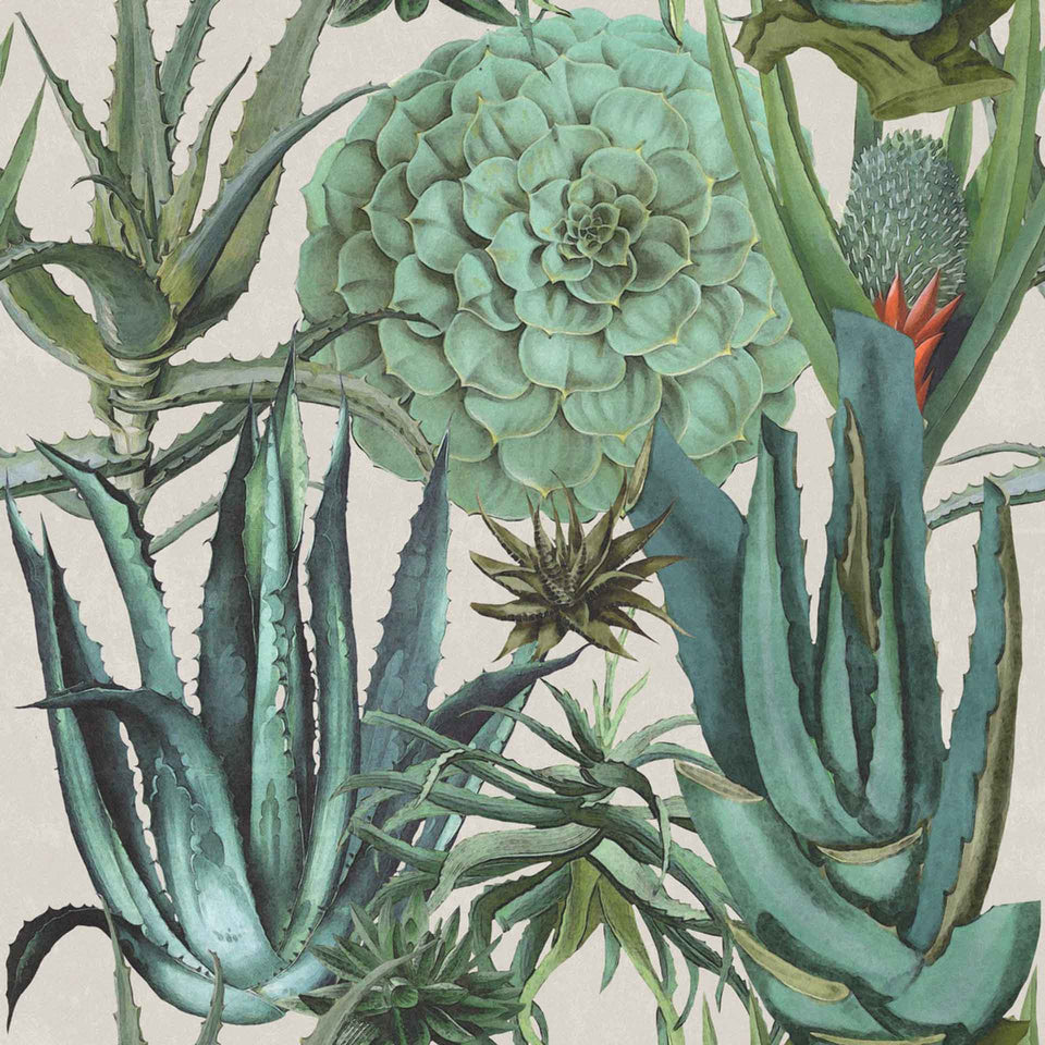 Succulentus Wallpaper by MINDTHEGAP