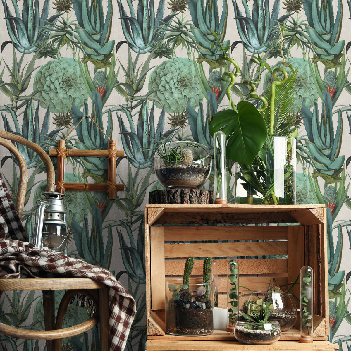 Succulentus Wallpaper by MINDTHEGAP