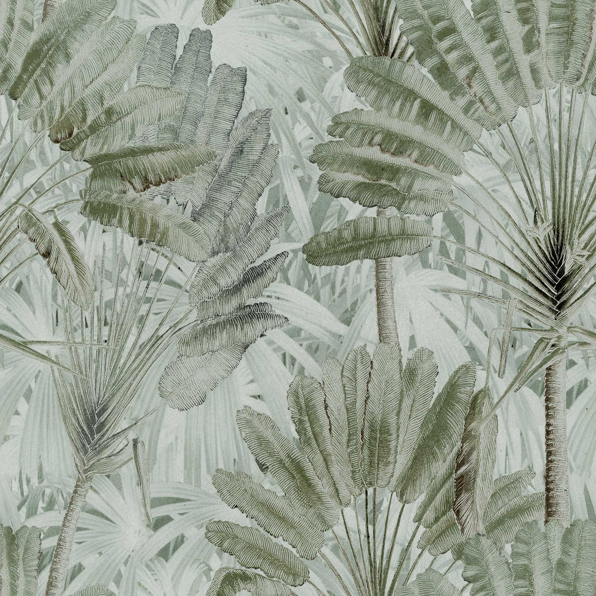 Traveller's Palm Wallpaper by MINDTHEGAP
