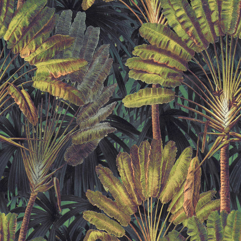Traveller's Palm Wallpaper by MINDTHEGAP