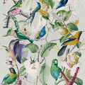 Tropical Birds Wallpaper by MINDTHEGAP