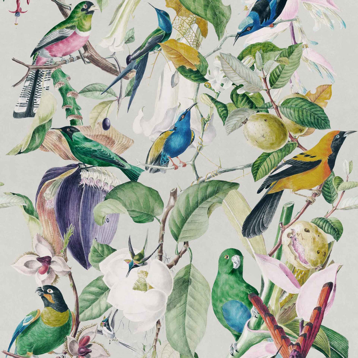 Tropical Birds Wallpaper by MINDTHEGAP