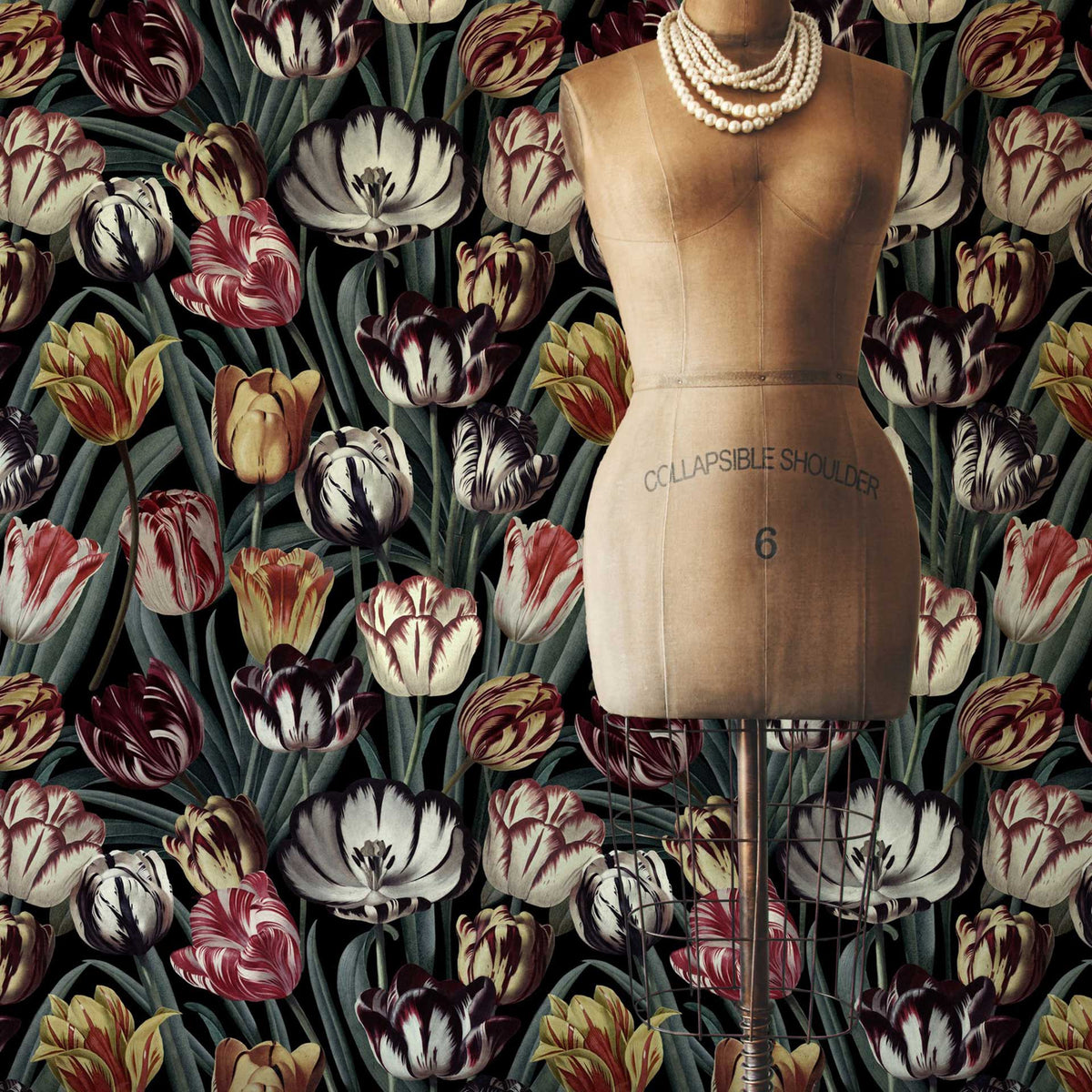 Tulipa Wallpaper by MINDTHEGAP