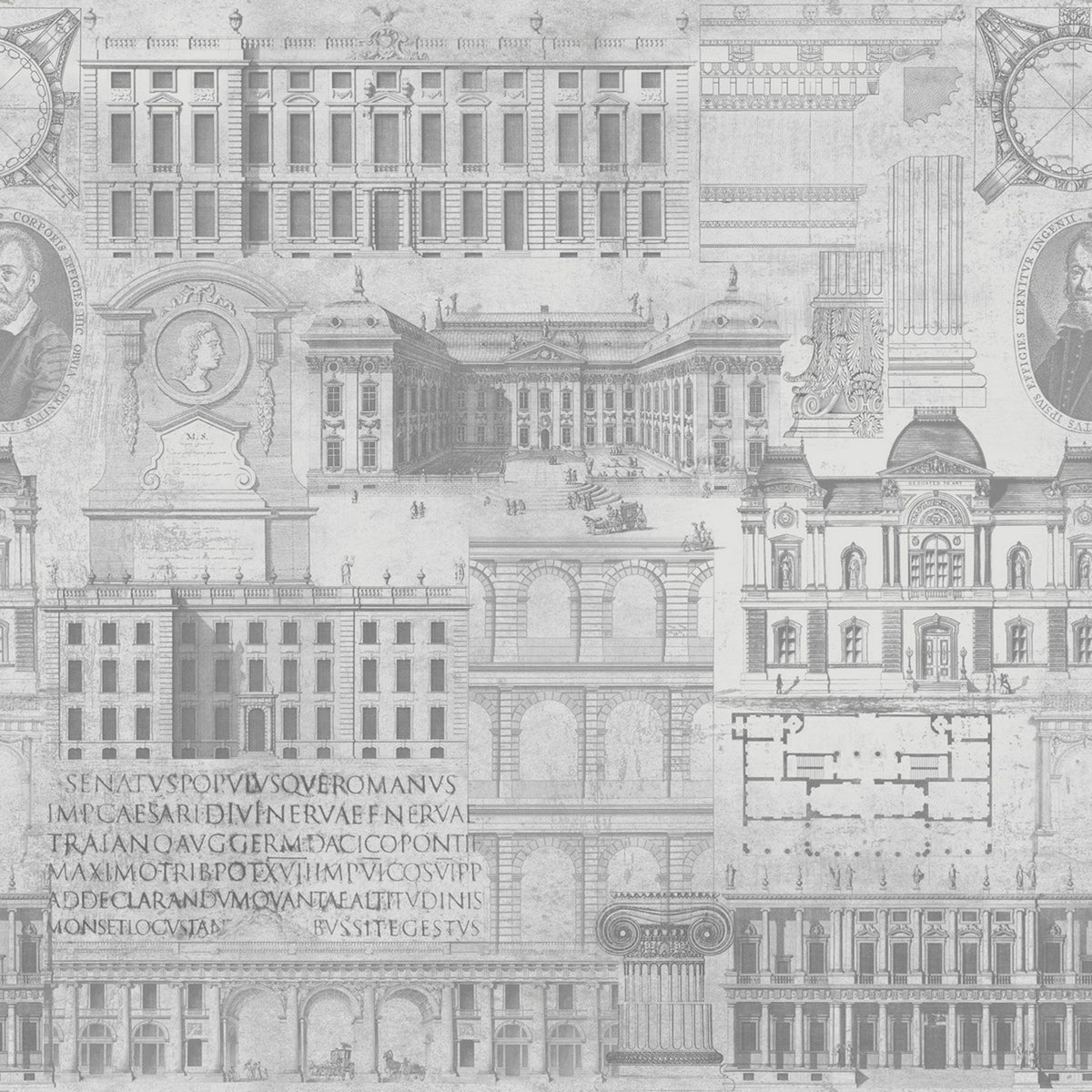 Vitruvius Wallpaper by MIND THE GAP