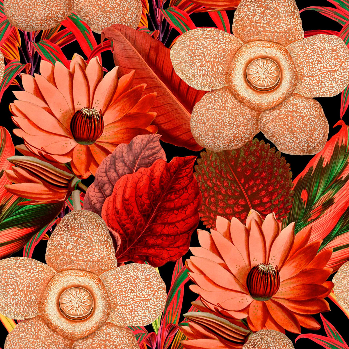 Water Lilies Wallpaper by MINDTHEGAP