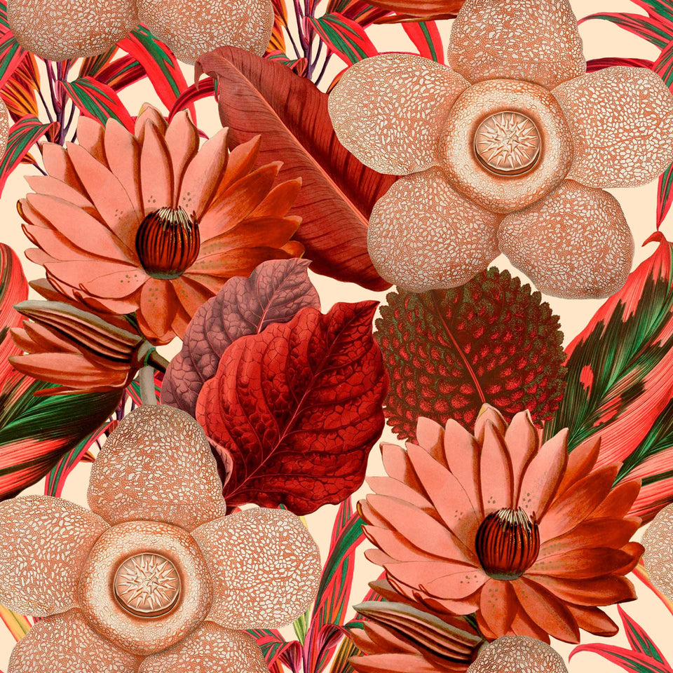 Water Lilies Wallpaper by MINDTHEGAP