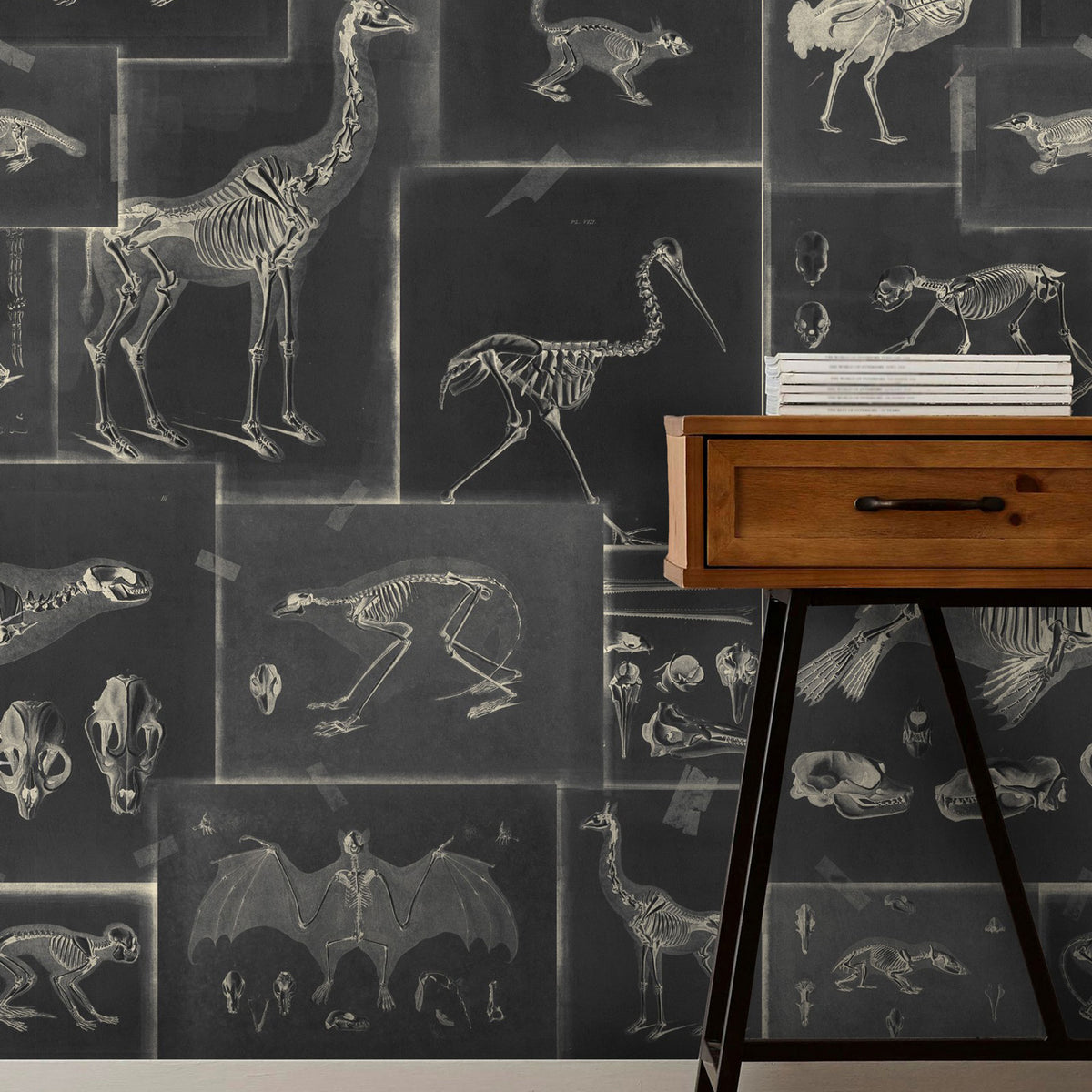 Zooarchaeology Wallpaper by MINDTHEGAP