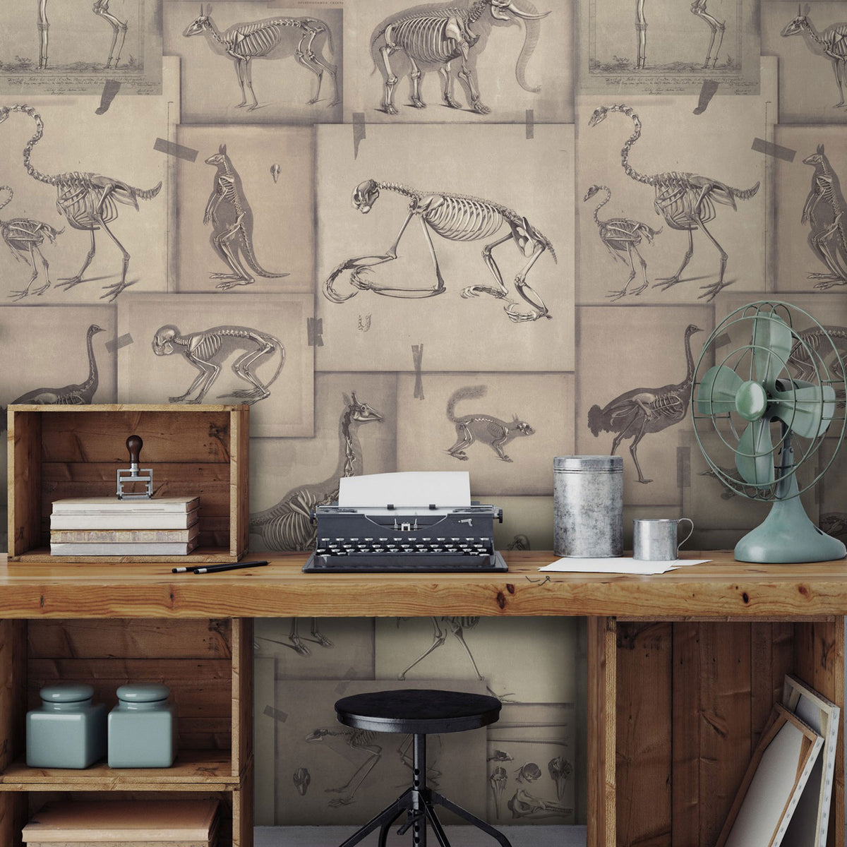 Zooarchaeology Wallpaper by MINDTHEGAP