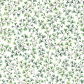 Maidenhair Wallpaper by Cole & Son